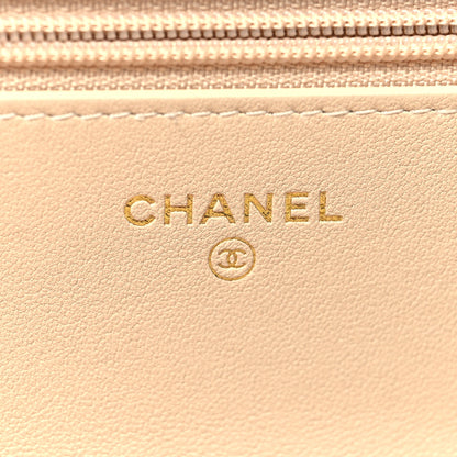 Chanel Lambskin Quilted Chanel 19 Wallet On Chain WOC Beige 6 of 12