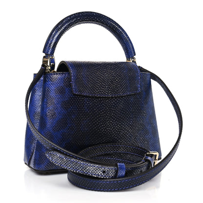 Louis Vuitton Lizard Capucines Mini 3 of 8