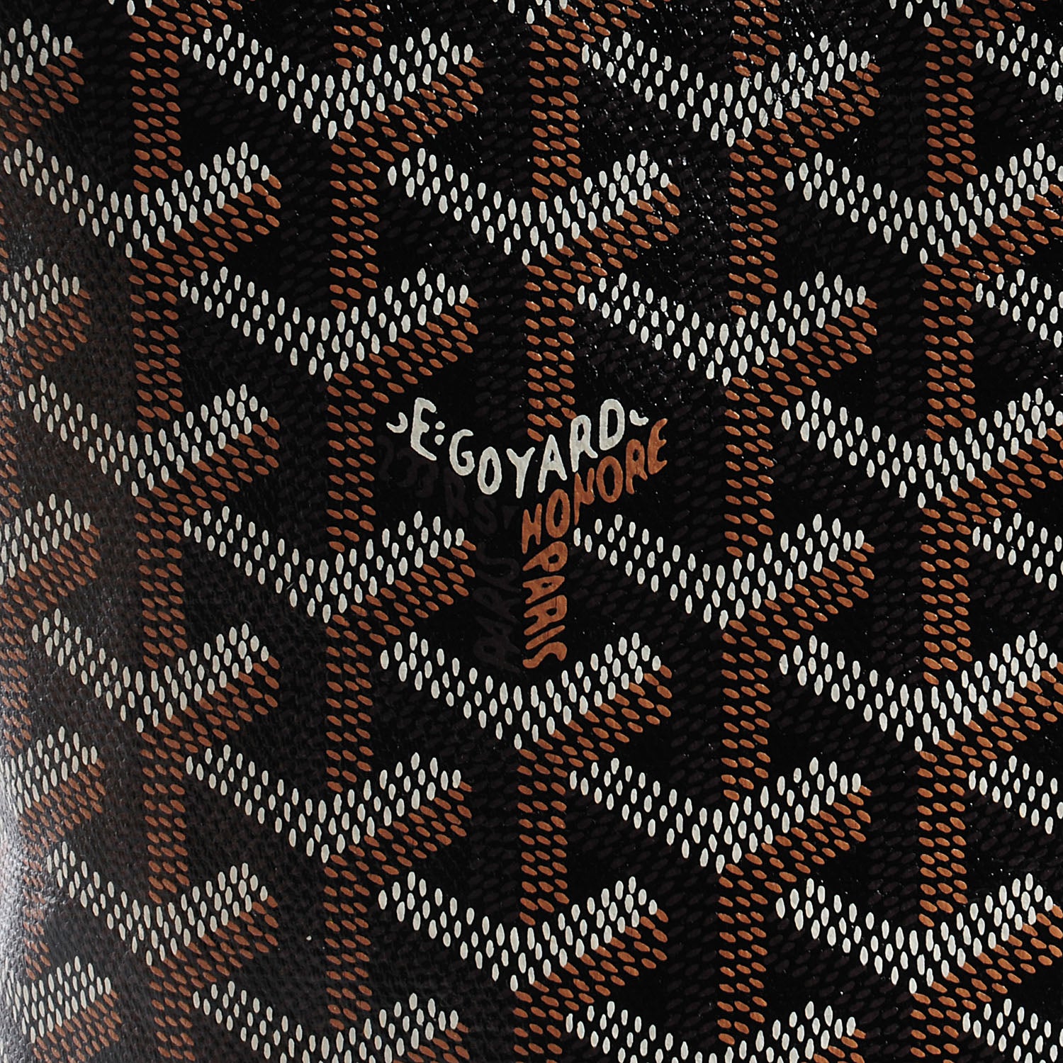 Goyard Goyardine Saint Louis PM Black 9 of 10