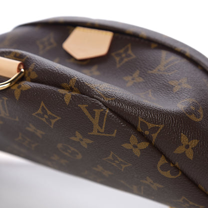 Louis Vuitton Monogram Bumbag 8 of 8