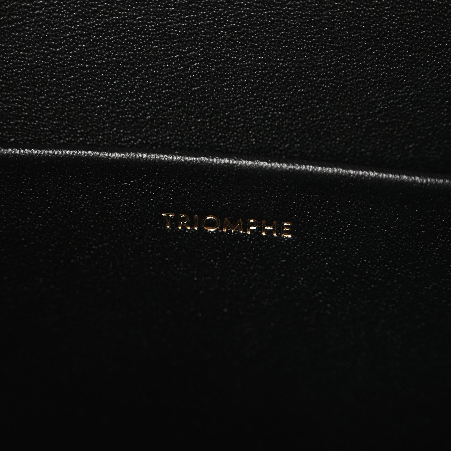 Shiny Calfskin Medium Triomphe Black