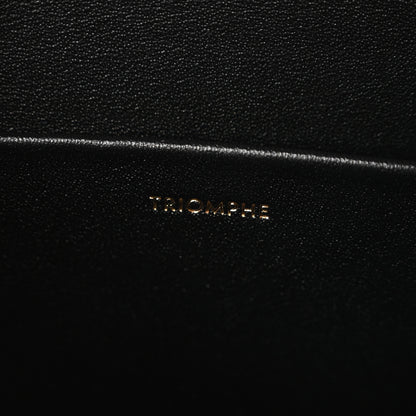 Celine Shiny Calfskin Medium Triomphe Black 7 of 10