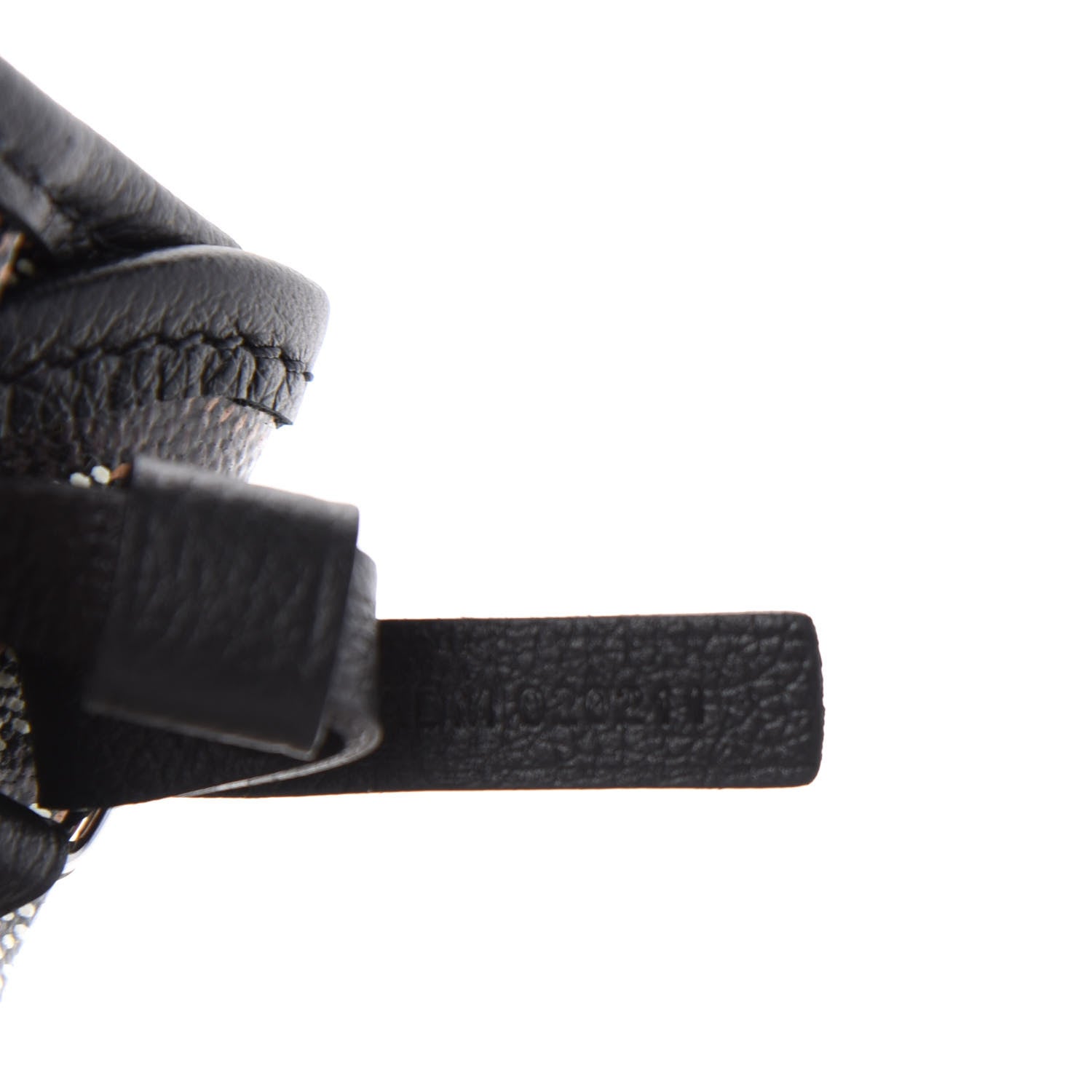 Goyard Goyardine Saint Louis PM Black 9 of 10