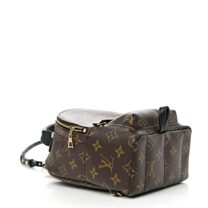 Louis Vuitton Monogram Palm Springs Backpack Mini 3 of 8