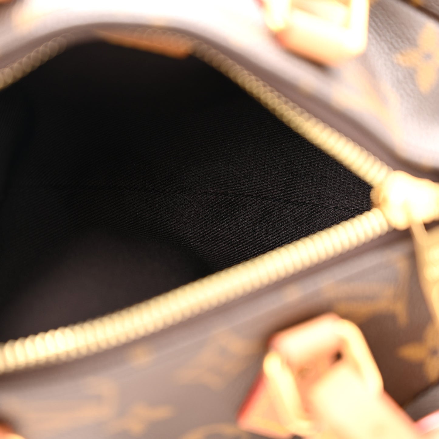 Monogram Pooch Bag