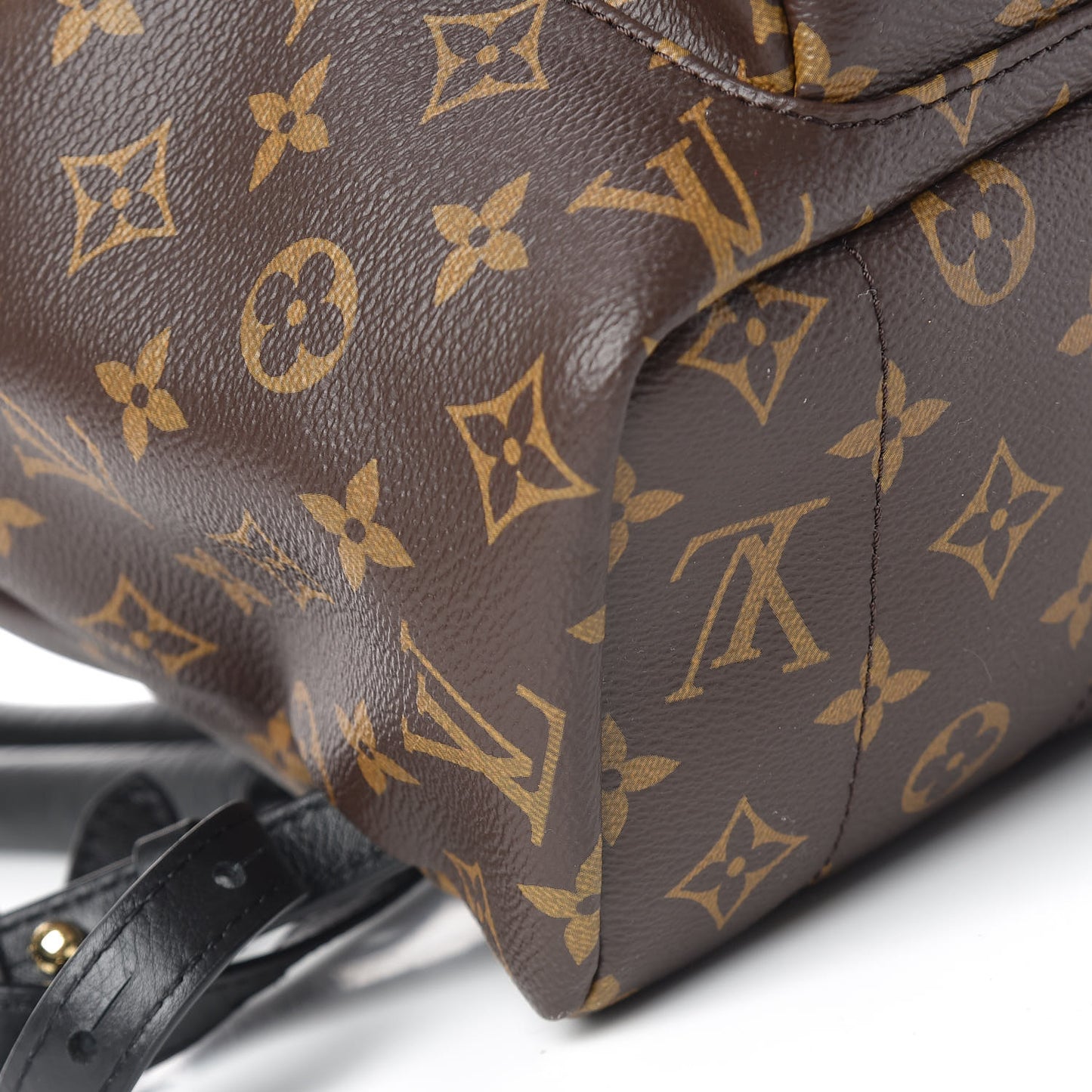 Monogram Palm Springs Backpack MM
