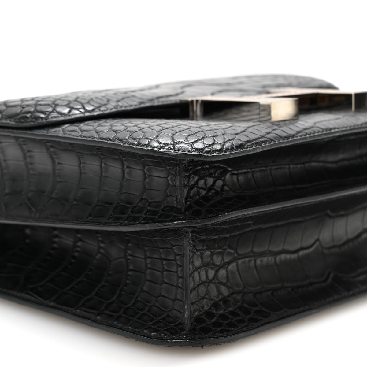 Matte Alligator Lizard Constance 24 Black Ombre