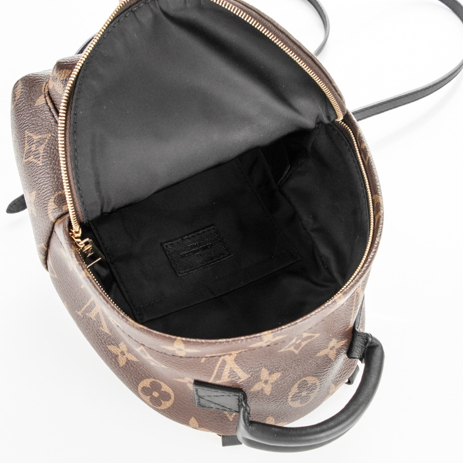 Louis Vuitton Monogram Palm Springs Backpack Mini 5 of 7