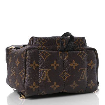 Louis Vuitton Monogram Palm Springs Backpack Mini 4 of 8