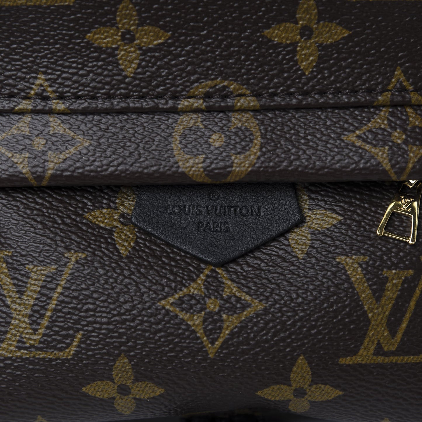 Monogram Palm Springs Backpack Mini