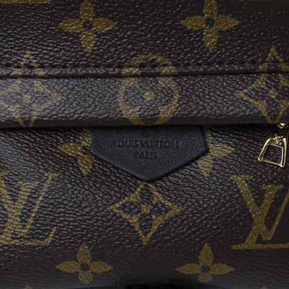 Louis Vuitton Monogram Palm Springs Backpack Mini 9 of 9