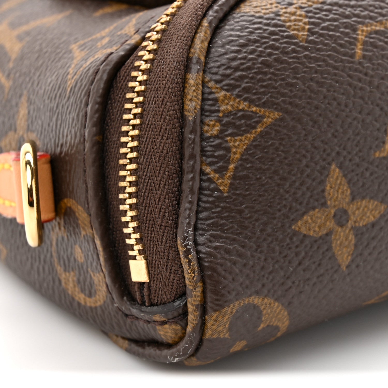 Louis Vuitton Monogram Mini Bumbag 10 of 13