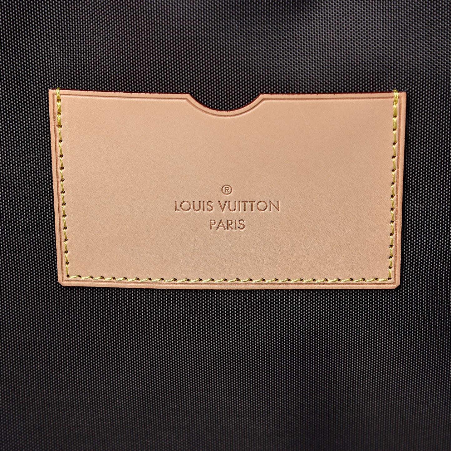 Monogram Pegase 50 Business