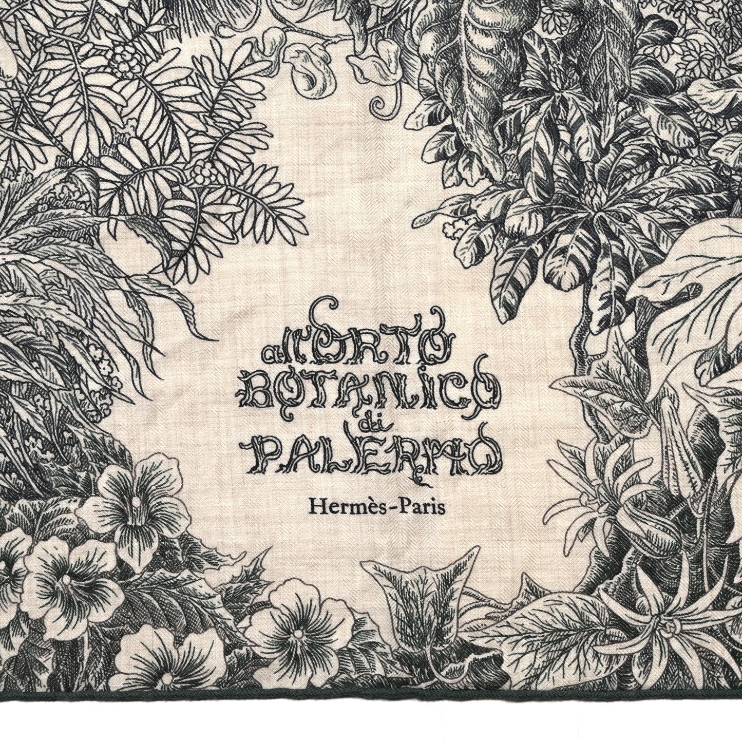 Cashmere Silk All 'Orto Botanico Di Palermo Shawl 140 Vert Loden Naturel Encre
