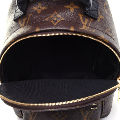 Louis Vuitton Monogram Palm Springs Backpack Mini 3 of 4