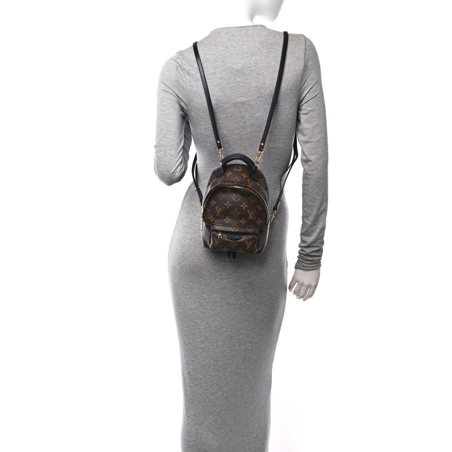 Monogram Palm Springs Backpack Mini