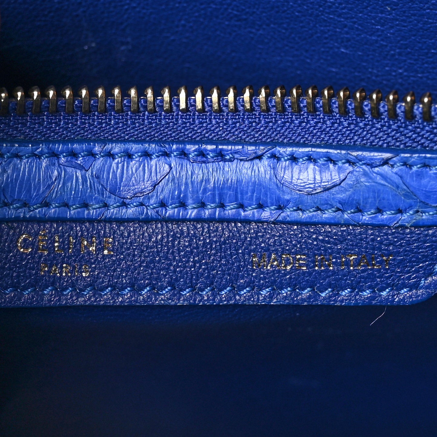 Snakeskin Micro  Luggage Blue