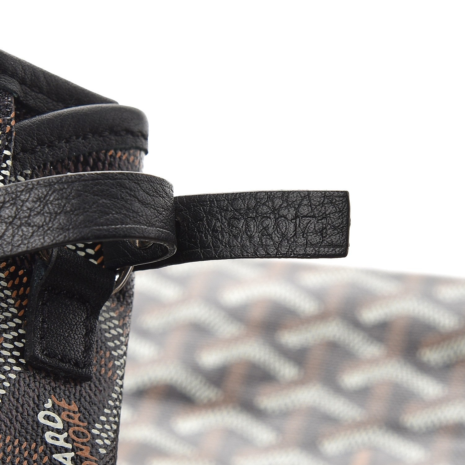 Goyard Goyardine Saint Louis PM Black 8 of 10