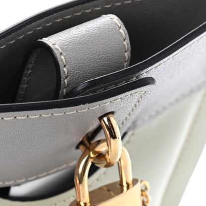 Chloe Shiny Calfskin Goatskin Mini Aby Bi-Color Bucket Light Eucalyptus 10 of 10
