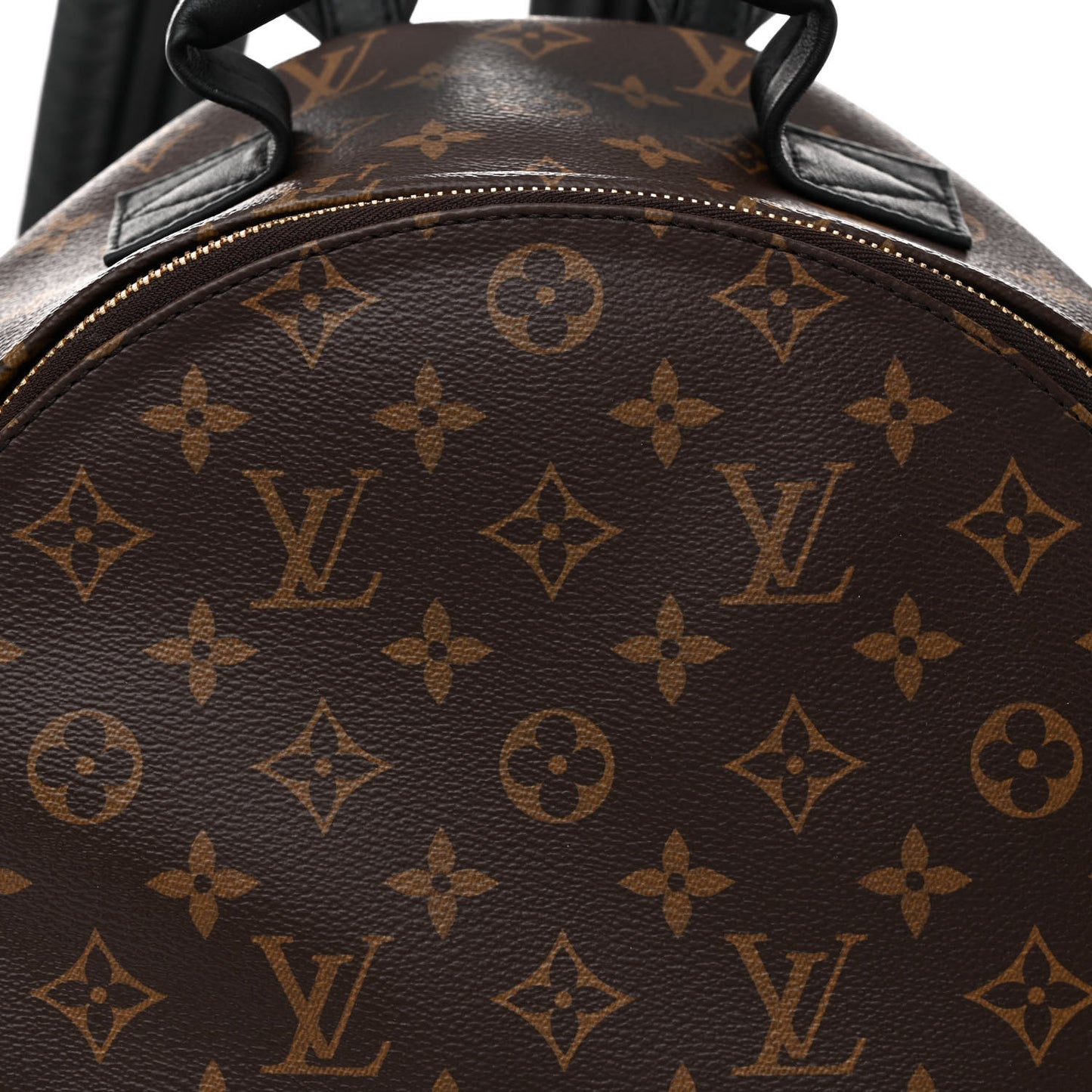 Monogram Palm Springs Backpack MM