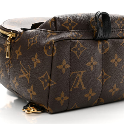 Louis Vuitton Monogram Palm Springs Backpack Mini 9 of 17