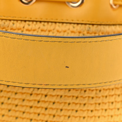 Fendi Crochet Vitello King F is Fendi Logo Woven Mini Mon Tresor Bucket Bag Mimosa Cyber Blue 12 of 12