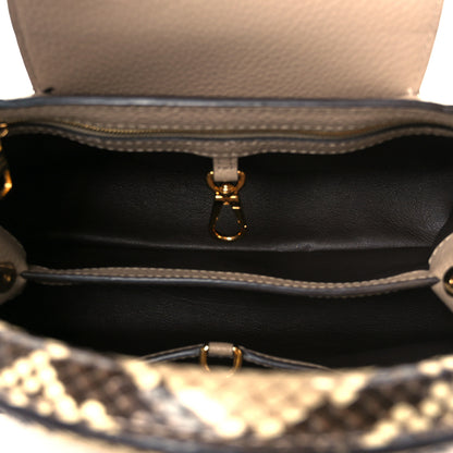 Louis Vuitton Taurillon Snakeskin Capucines PM Galet 5 of 9