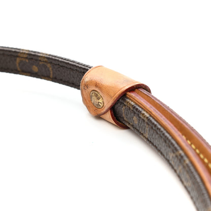 Louis Vuitton Monogram Baxter Dog Leash MM 4 of 4