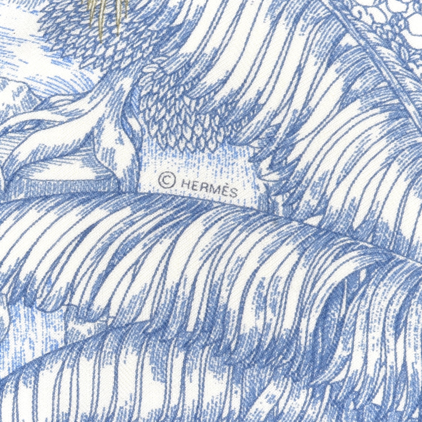 Cashmere Silk Faubourg Tropical Shawl 140 White Bleu Abricot