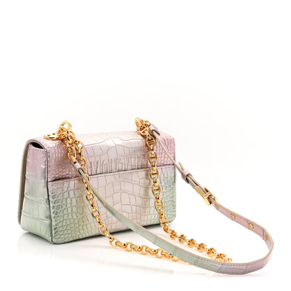Christian Dior Metallic Alligator Small Caro Bag Multicolor 3 of 11