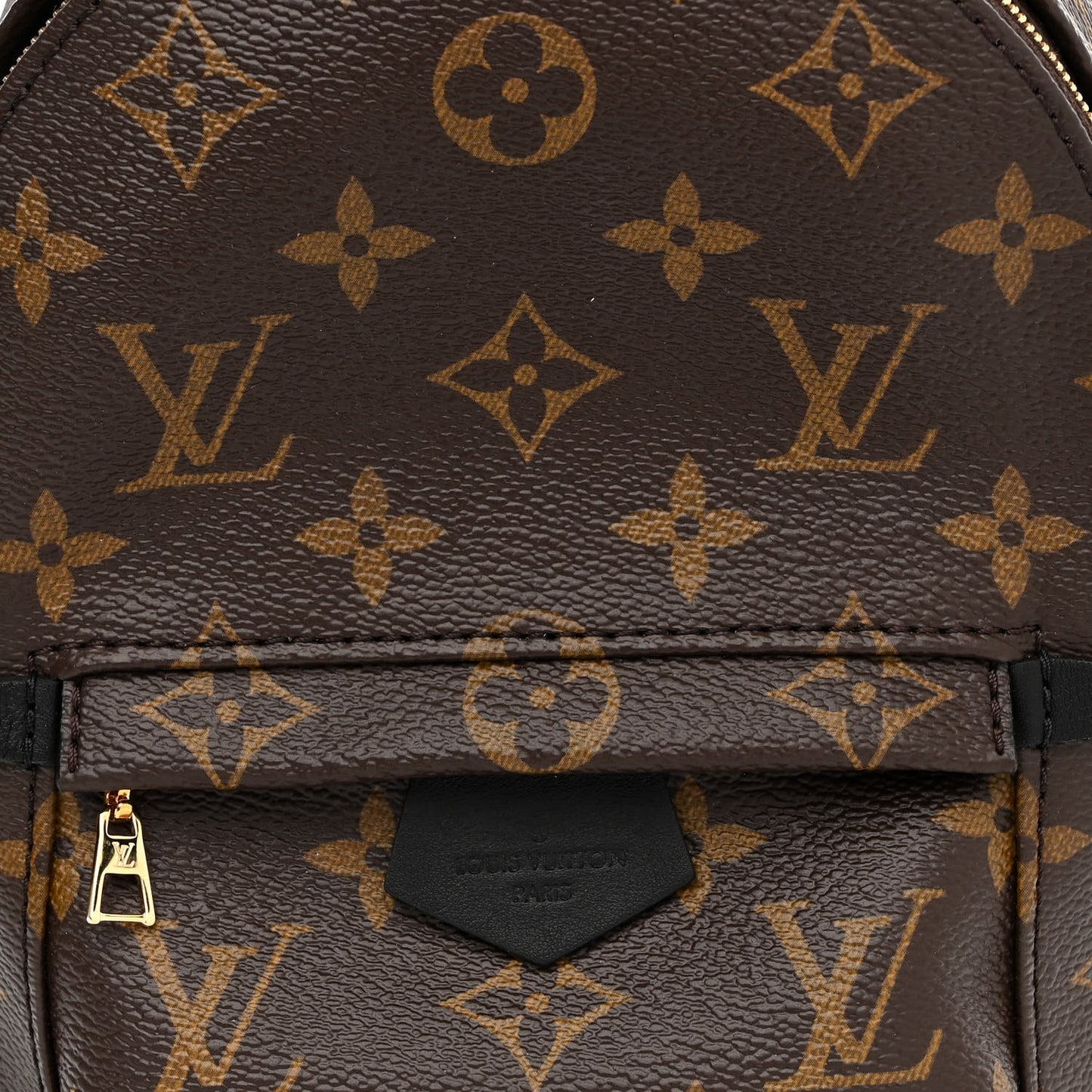 Monogram Palm Springs Backpack Mini
