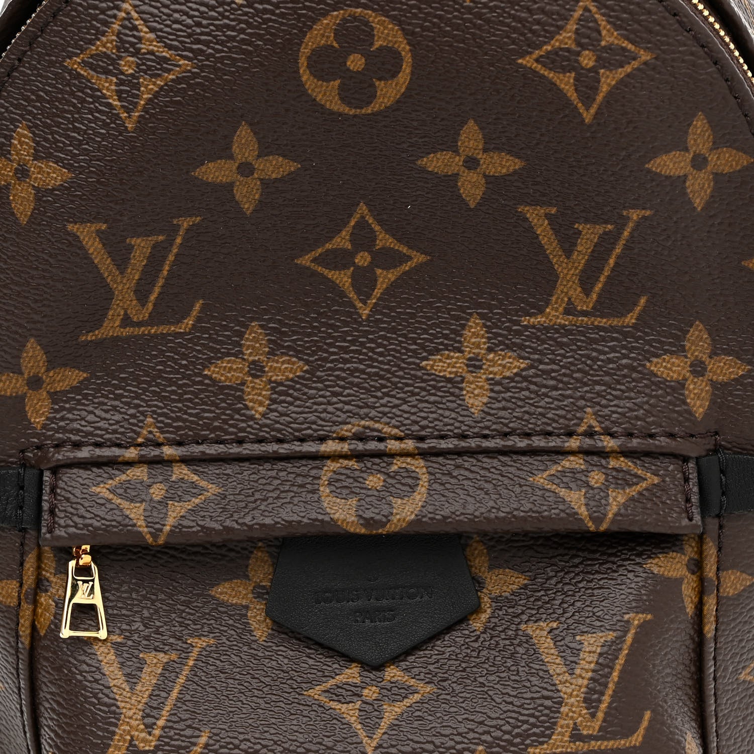 Louis Vuitton Monogram Palm Springs Backpack Mini 8 of 11