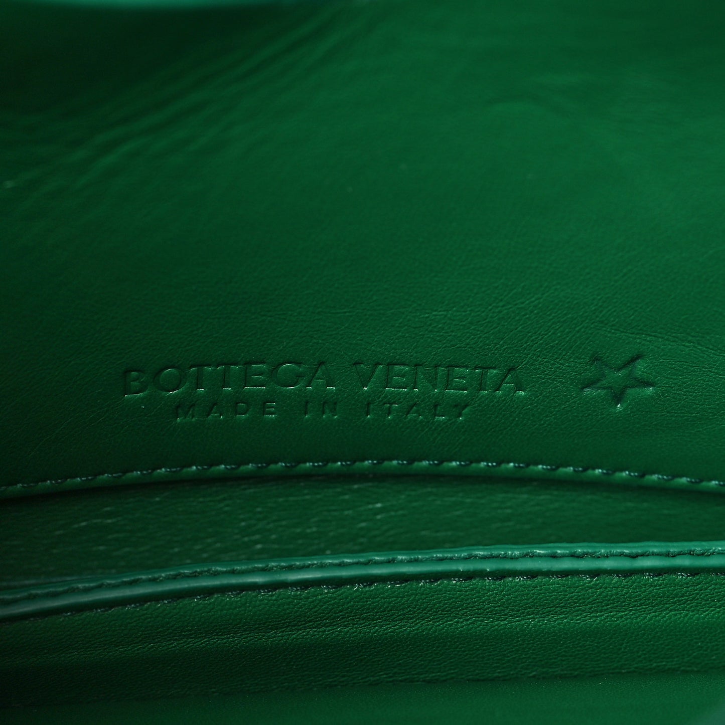 Calfskin Mount Envelope Bag Jungle