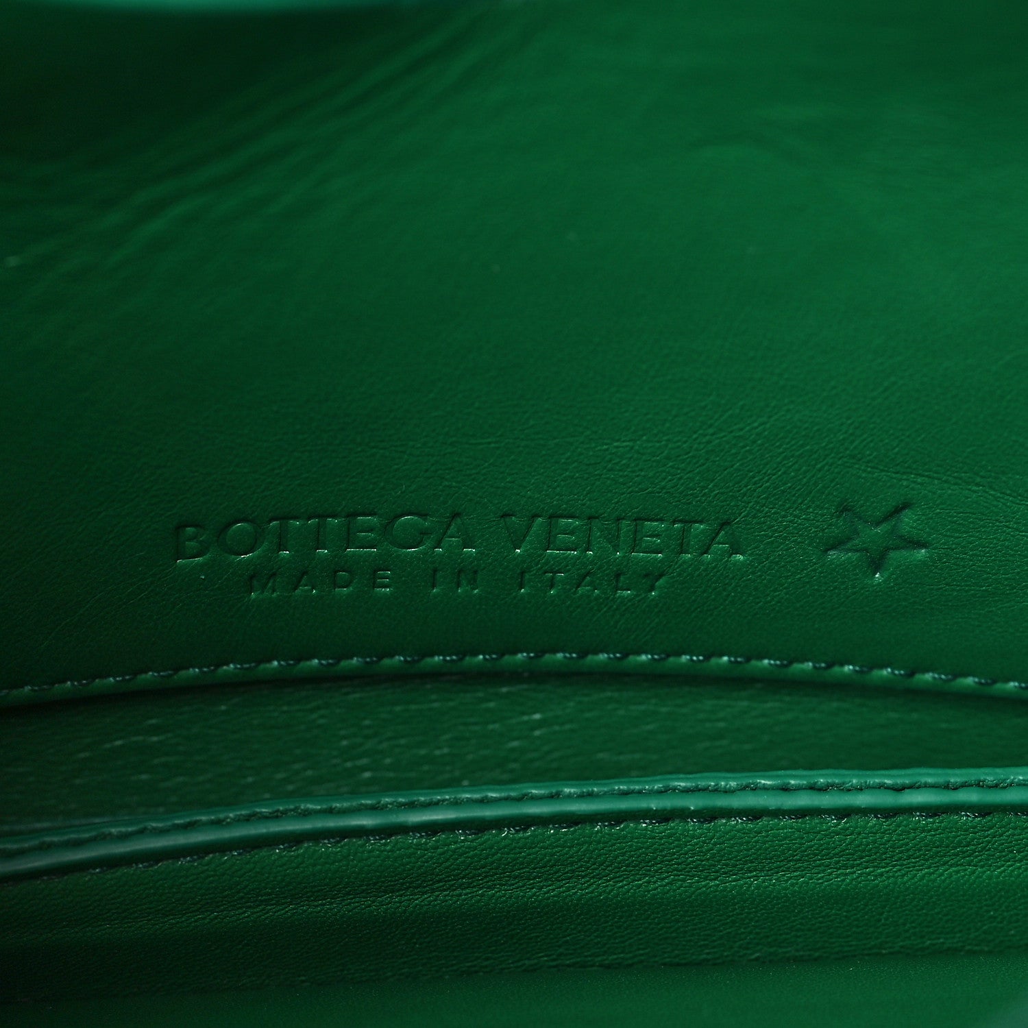 Bottega Veneta Calfskin Mount Envelope Bag Jungle 6 of 8
