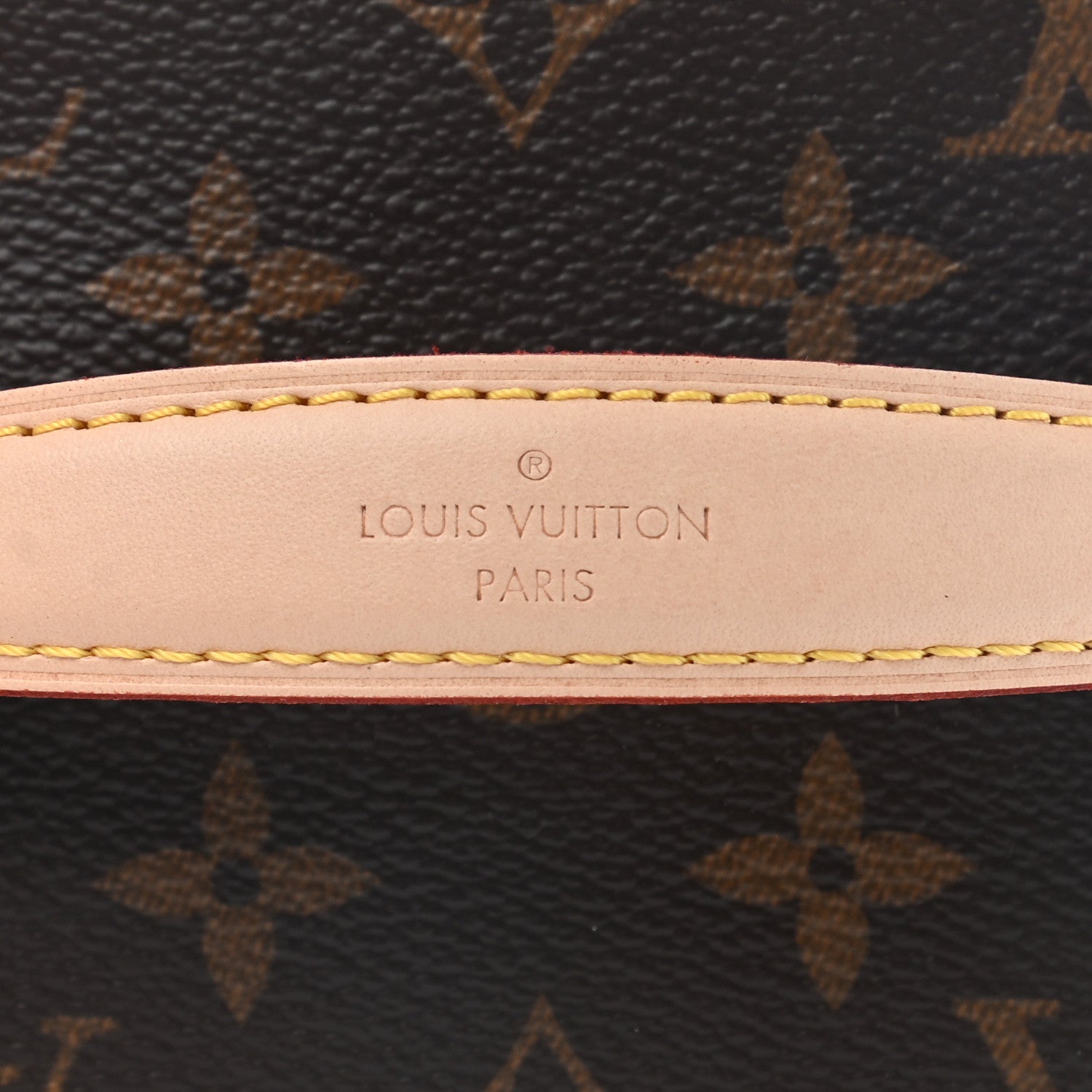 Louis Vuitton Monogram Nice Mini 7 of 7