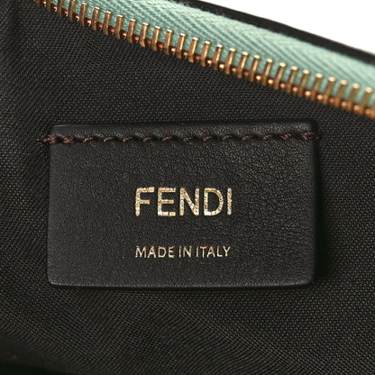 Fendi Vitello Grace Matte Small Fendigraphy Hobo Bag Menta 6 of 8