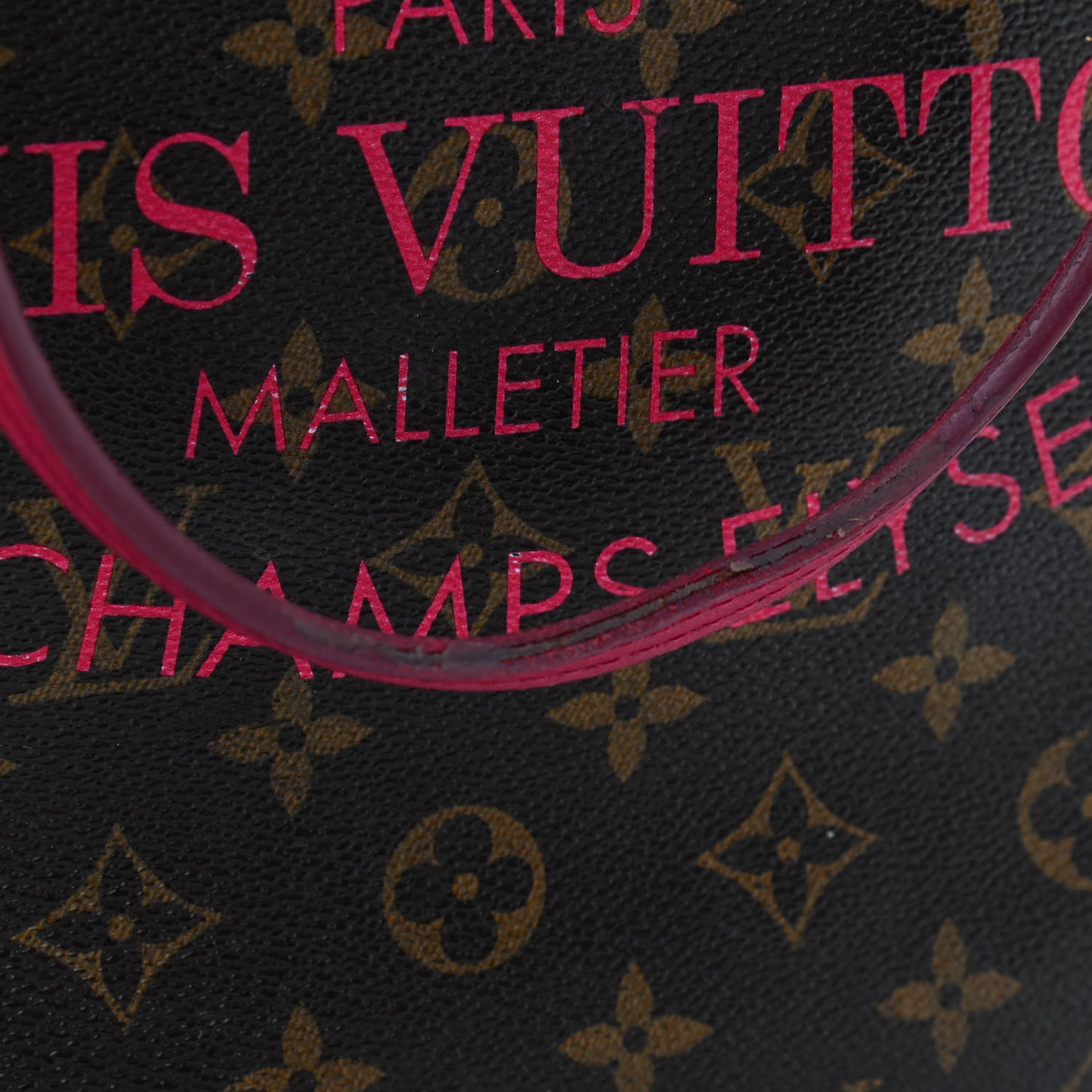 Monogram Articles de Voyage Ikat Neverfull MM Rose Indien