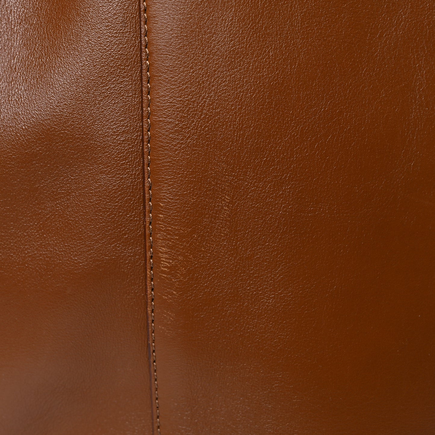 Sleek Calfskin Small Cabas Phantom Tan