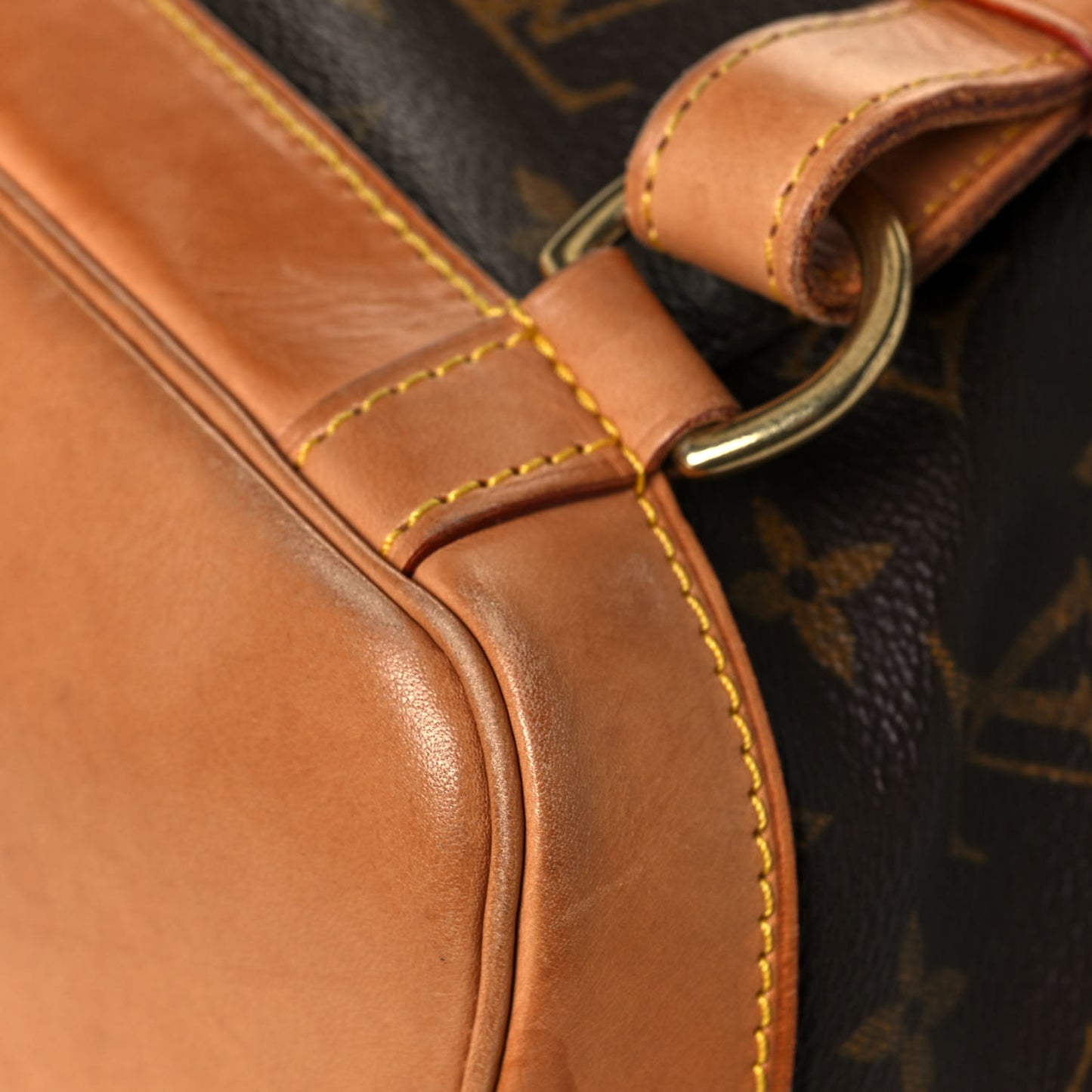 Monogram Montsouris GM Backpack