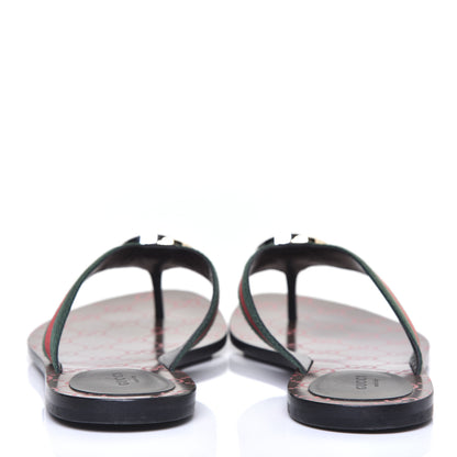 Gucci Nylon Calfskin Web GG Monogram Womens Thong Sandals 41 Green Red Cocoa 7 of 10