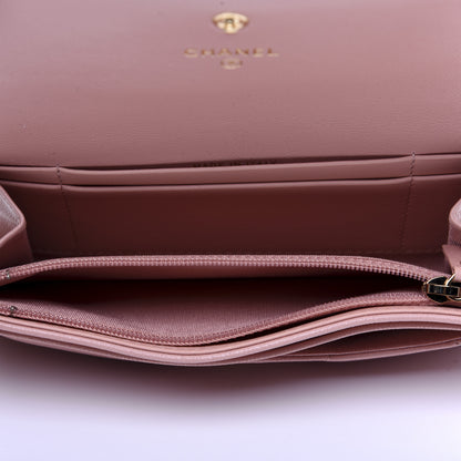 Chanel Goatskin Quilted 19 Flap Wallet Pink 5 of 12