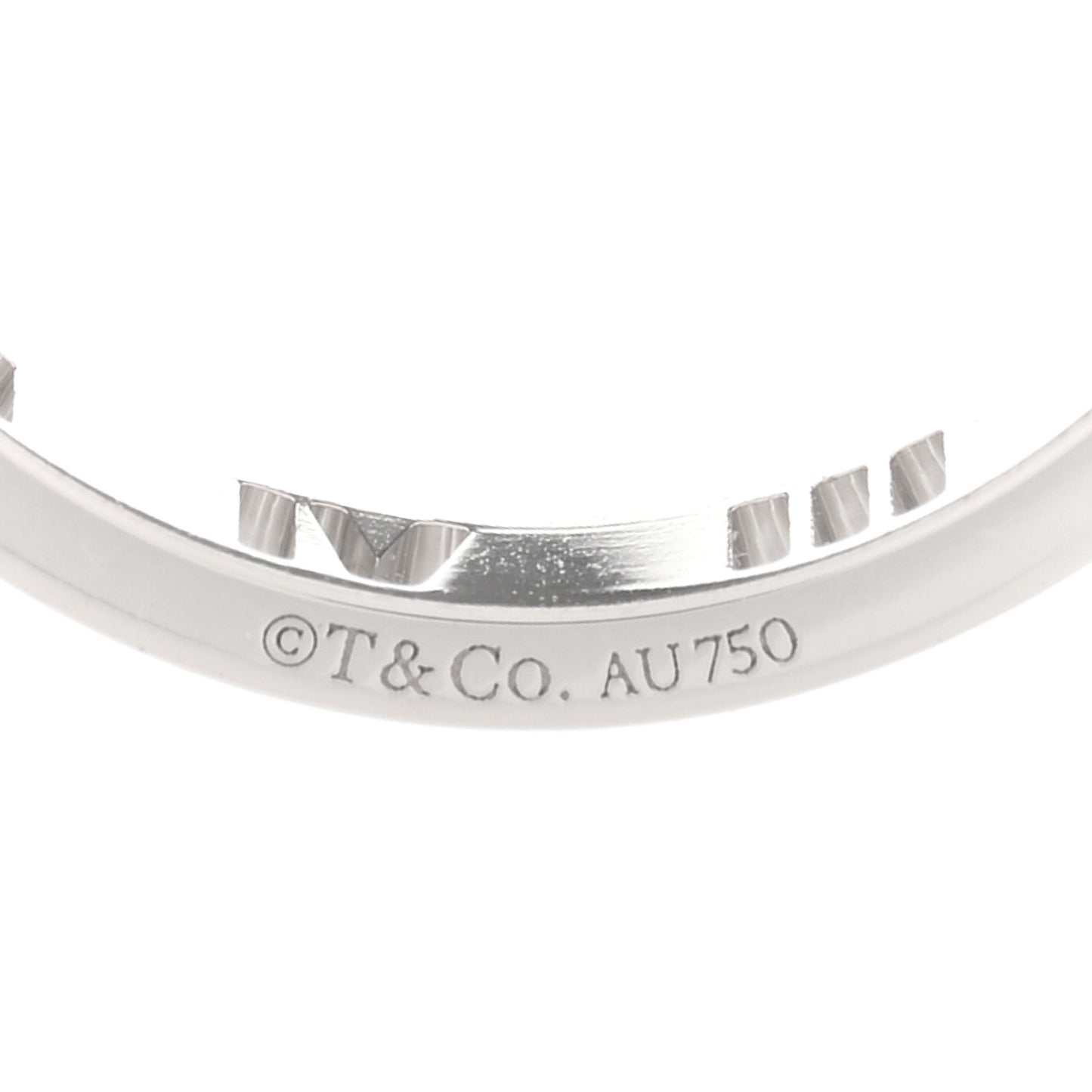 18K White Gold Diamond Atlas Pierced Ring 53 6.5