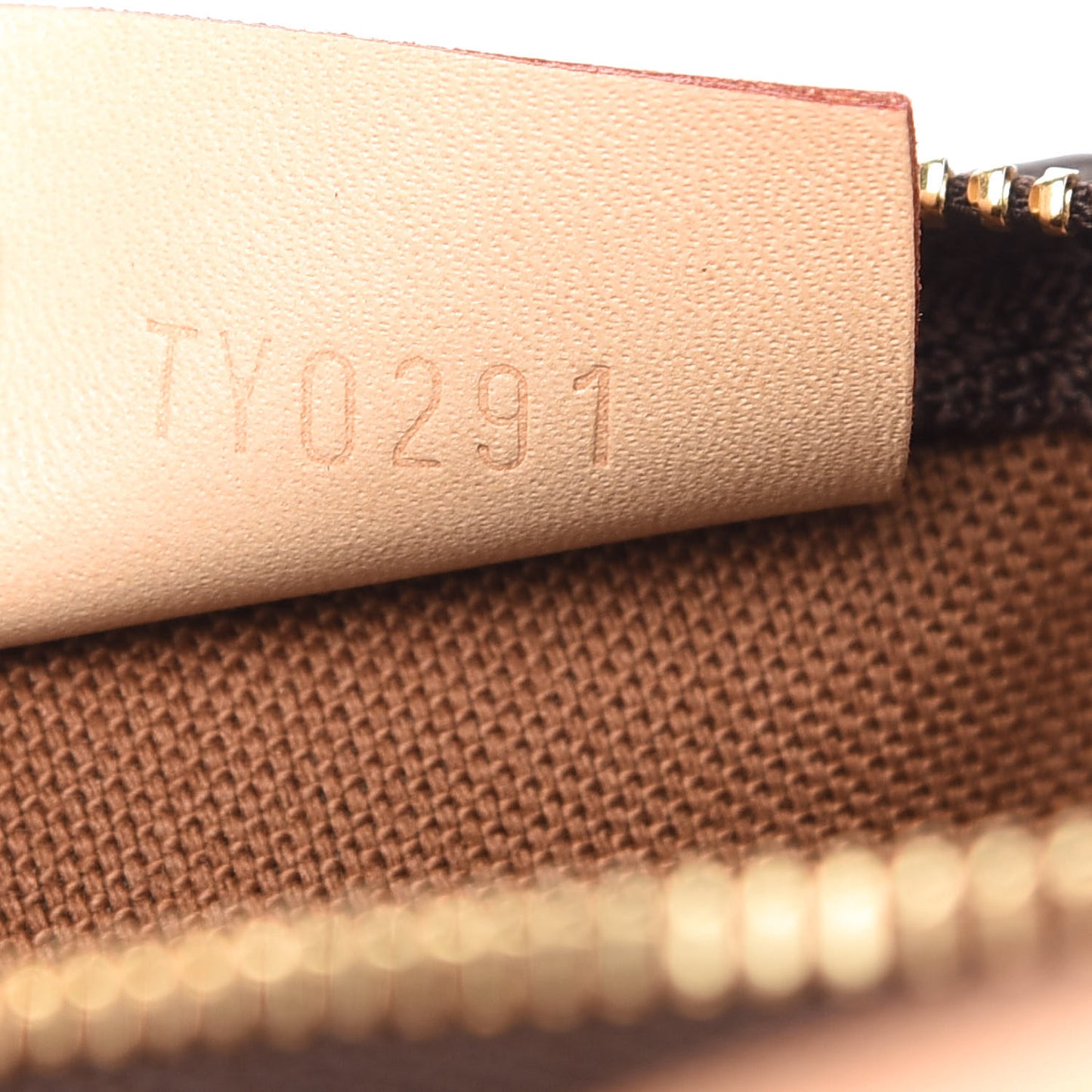 Monogram Nano Speedy