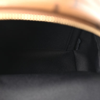 Louis Vuitton Reverse Monogram Palm Springs Backpack Mini 4 of 8