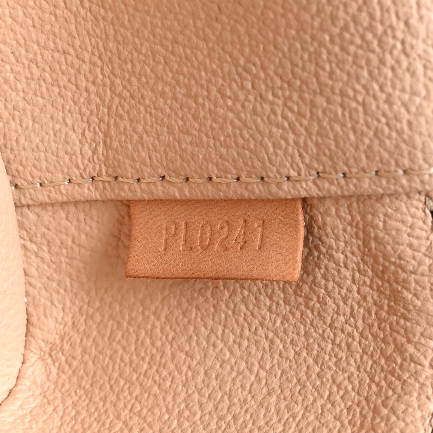 Monogram Nano Nice