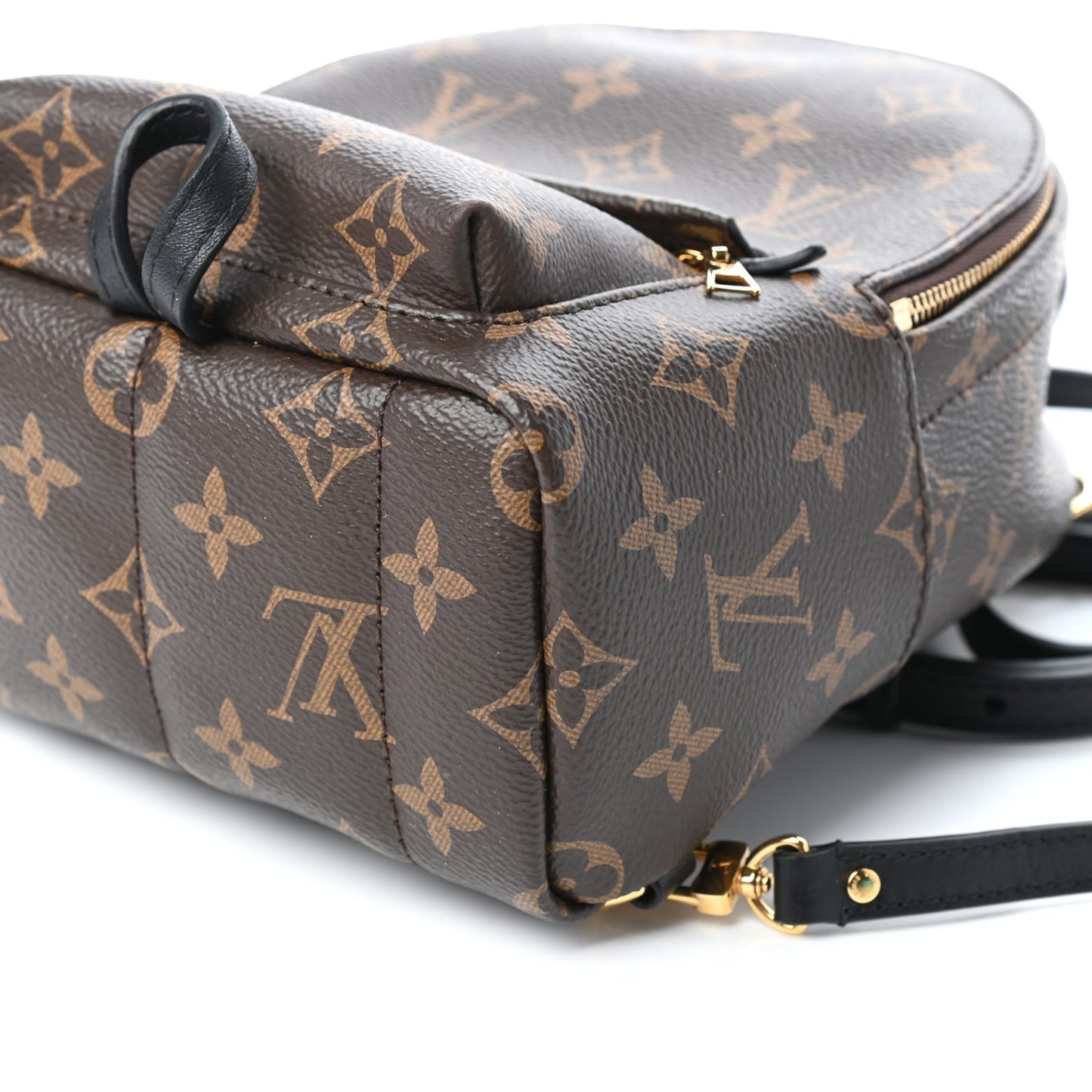 Monogram Palm Springs Backpack Mini