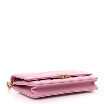 Chanel Lambskin Resin Quilted Wallet On Chain WOC Dark Pink 4 of 12