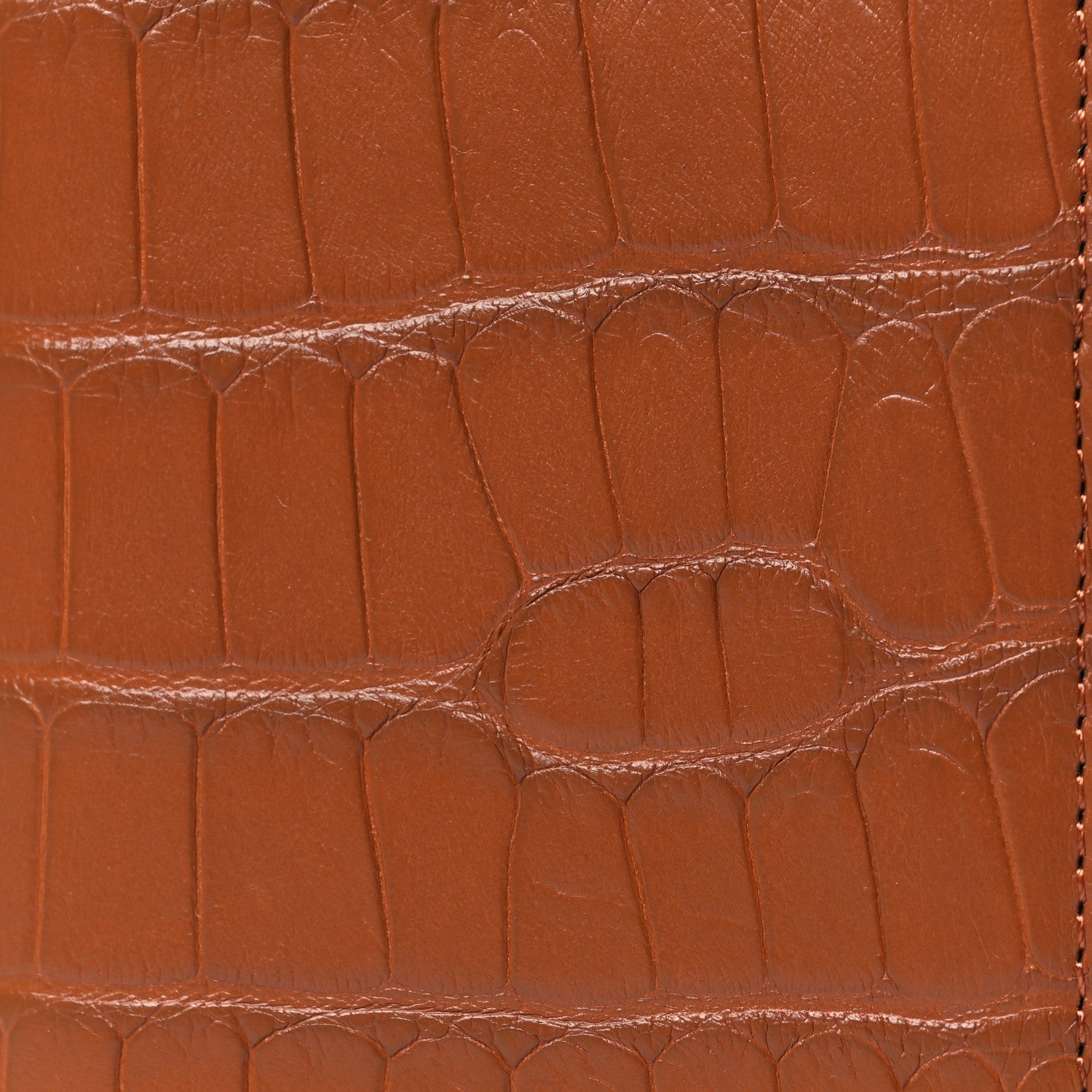 Louis Vuitton Crocodile Pocket Organizer Cognac 7 of 7