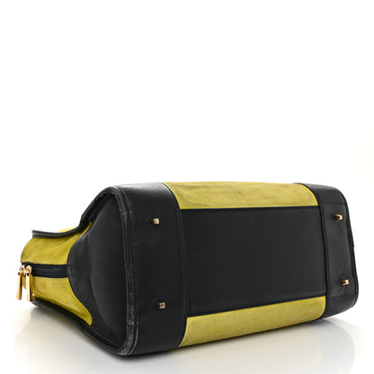 Loewe Suede Calfskin Amazona Yellow Black 4 of 11