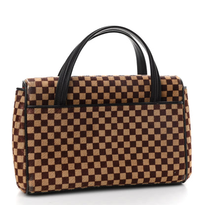 Louis Vuitton Damier Calf Hair Sauvage Lionne 2 of 14
